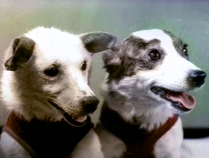 Belka_and_Strelka.Space_Dogs.Real-i